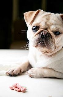 策划巴哥最新爆料,揭秘策划界的神秘力量