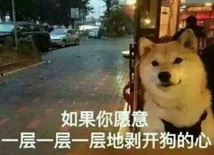 大爆料真实故事视频播放,真实故事视频背后的震撼真相